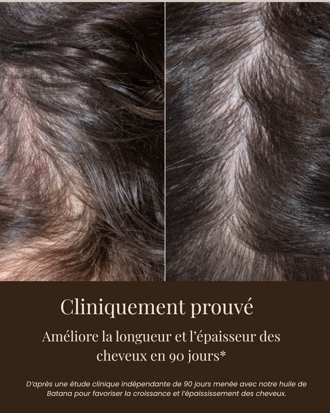 Huile de Batana Naturelle Liquide Natureva